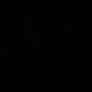 Meet your Posher, Armando